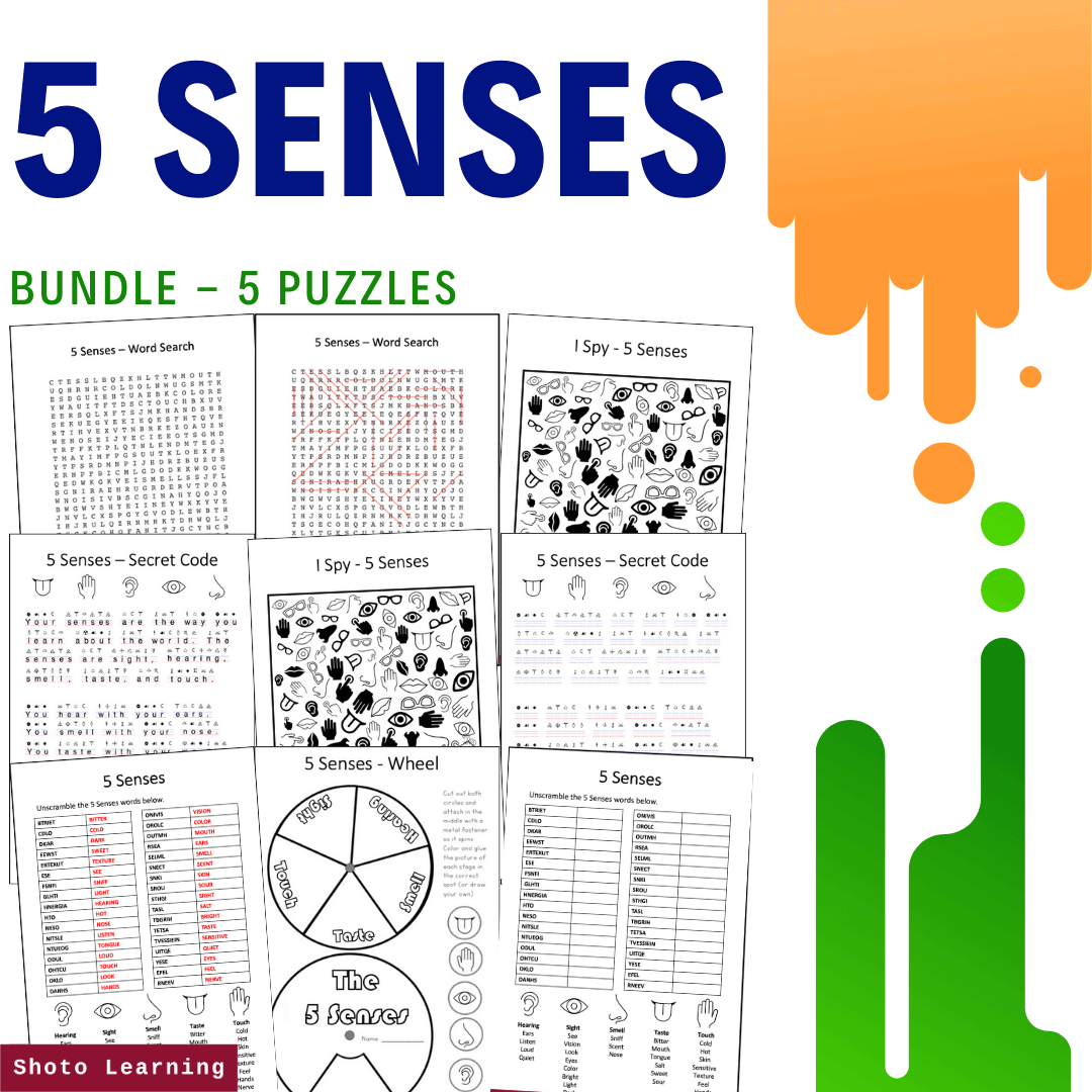 True or False Worksheets: Learn the 5 Senses